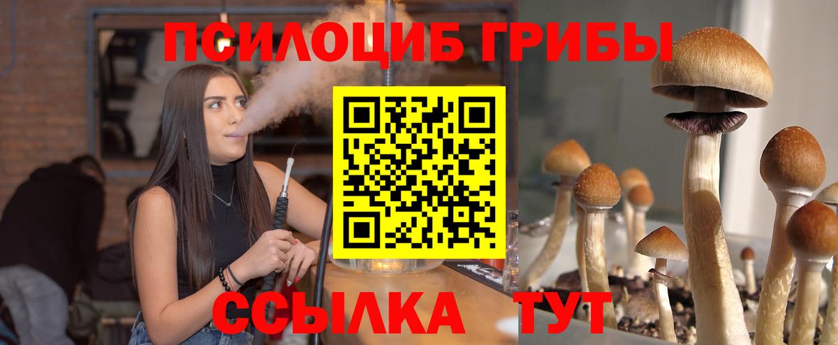 Псилоцибиновые грибы мухоморы Глазов