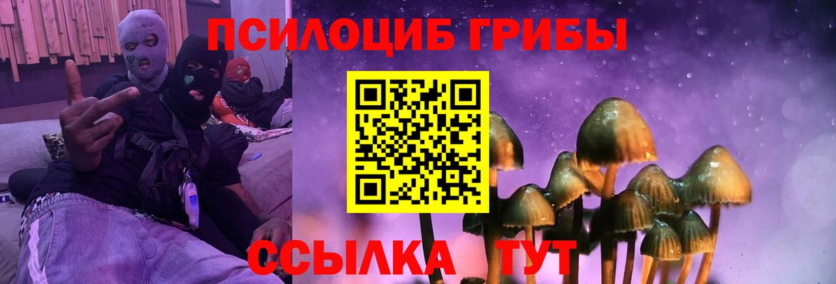 Глазов  Псилоцибиновые грибы прущие грибы  Вход с VPN 